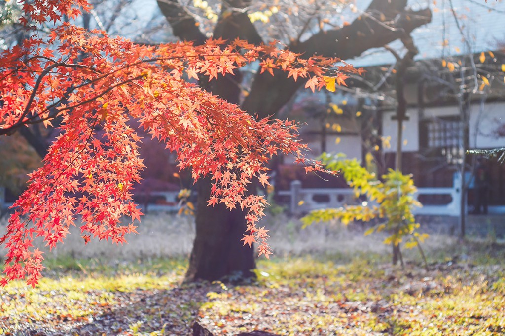 脱サラして自由に生きるために意識すべき5つのこと